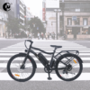 Low Budget Good Quality For Commuter eBike