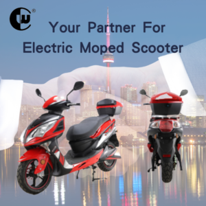Your Partner For Electric Moped Scooter 2000W